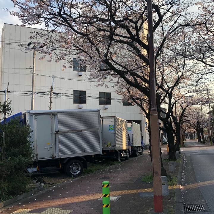 C97cdcd8 0547 49be 95b2 5077bbb97987 1585409680310