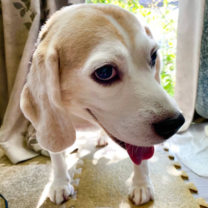 C97cfaf8 6f30 4d5c bc3f 17e8452ded70 1632890092639