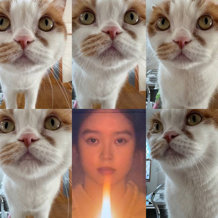 C97d3e38 8630 48e3 84f7 6fc2c1850dbe 1768271391761