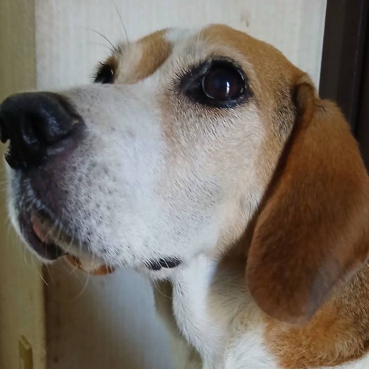 C97d4496 c109 46ea 84c9 3e9c59e26b50 1758899655577