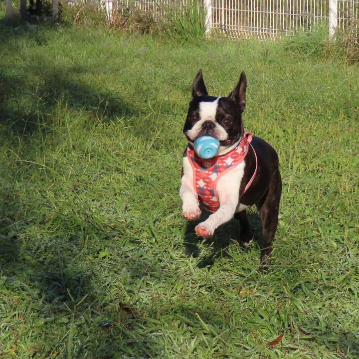 C97d48ef f566 4b7d be7a d029c2b6e453 1666437985164