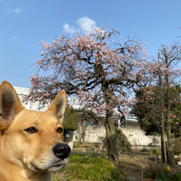 C97d4c19 7aaa 4aac 8951 ba9cd78bf43f 1647414588673