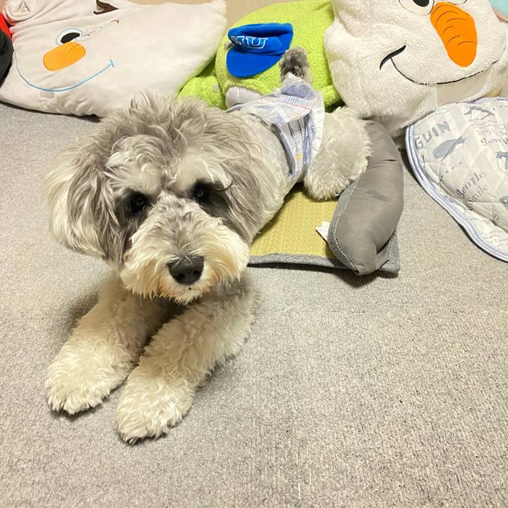 C97da8ff 0cca 4484 a528 cad46c0a459b 1621168012157