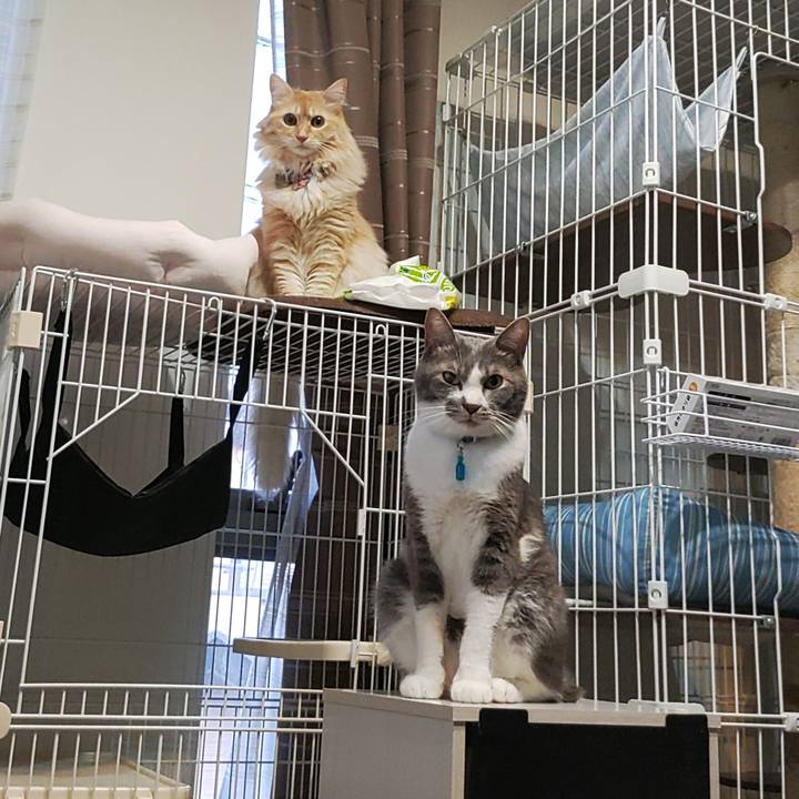 C97de07b b0ae 440b bb12 459f30e285b9 1660473927776