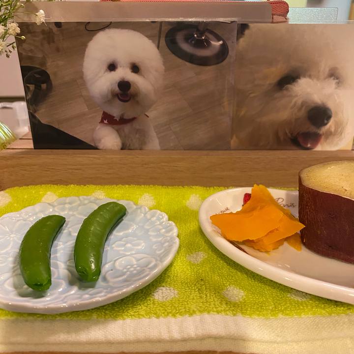 C97deaf2 34bc 4820 bc5f 19cd54591164 1746159634533