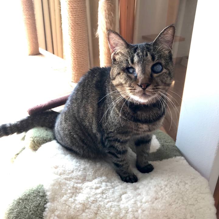 C97e34cf 8682 402b bcb0 85a6a6ed34f6 1571362834308