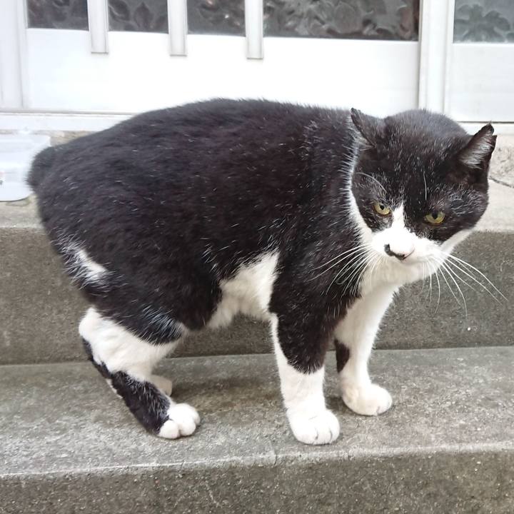 C97e580a 6393 41da ae1c de6bb38c69f0 1698189756751