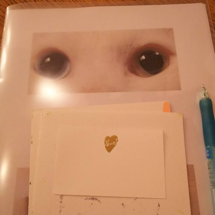 C97e70e2 1ce8 423b a35f 630b33eb0243 1535170681858