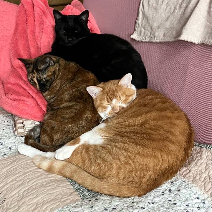 C97ea790 75d6 41a6 a1f8 533f7c7e50bd 1761189690529