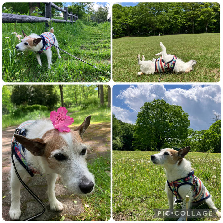 C97ead56 94d8 451a a45b ac56d986c3c3 1745969141223