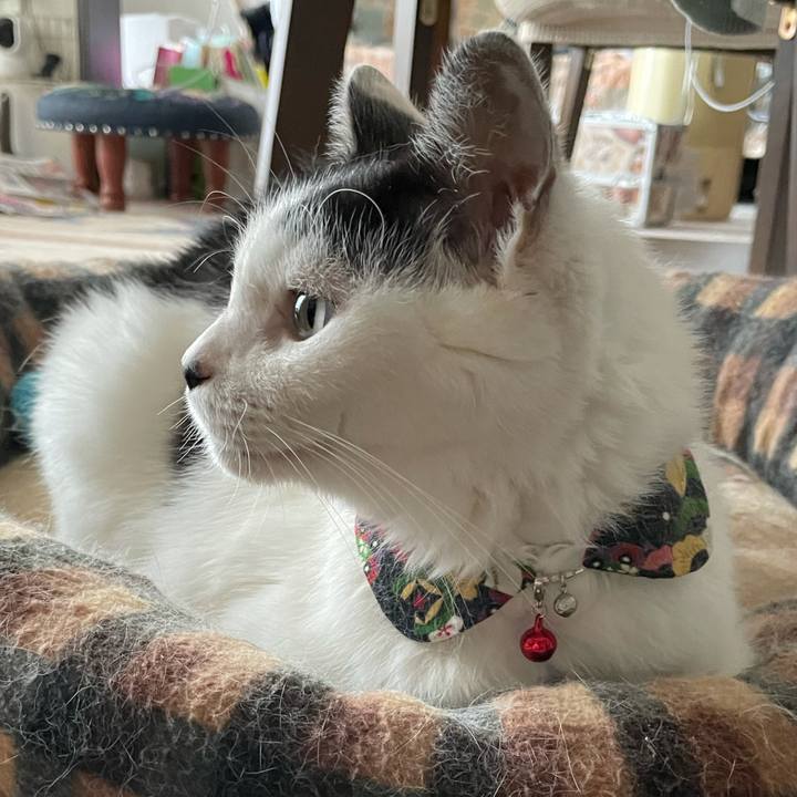 C97ec081 dfd9 4e96 ac7a 2a4fe996188a 1634442344907