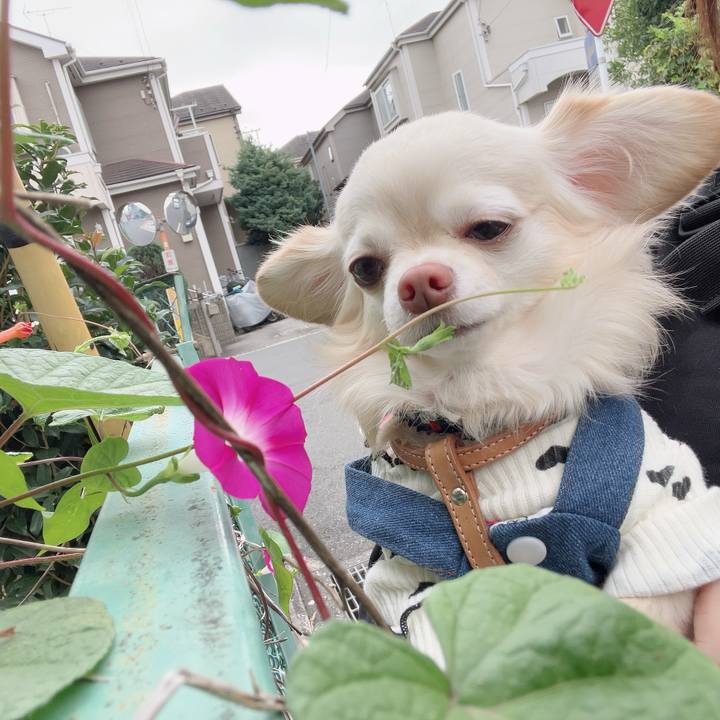 C97ecbe8 4d10 4d94 bb0c afa5fd1d54a6 1729512792309