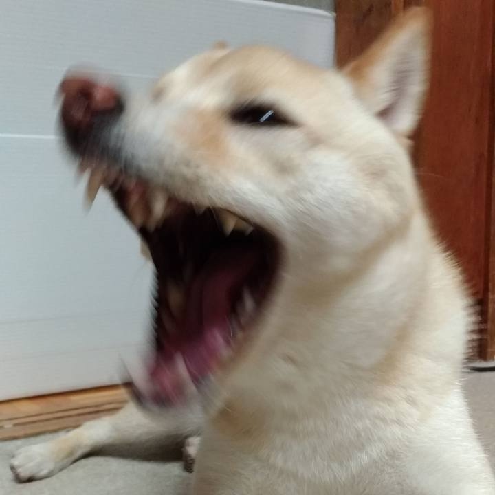 C97f1058 872a 4db9 9cc9 cca2e0839f8c 1528970613291