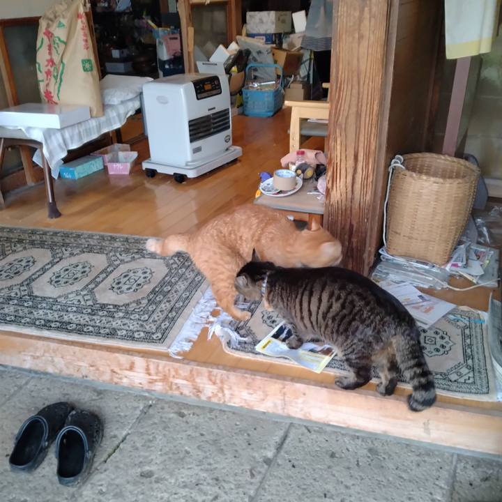 C97f1e53 815c 4522 ac59 85926e11c195 1744965658897