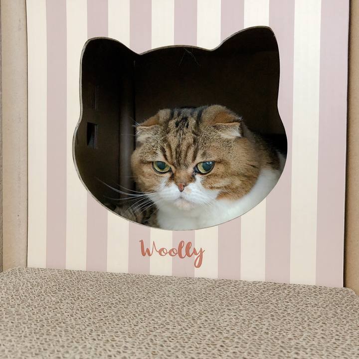 C97f42f3 8824 43d4 b675 ae577de38ff2 1580293837010