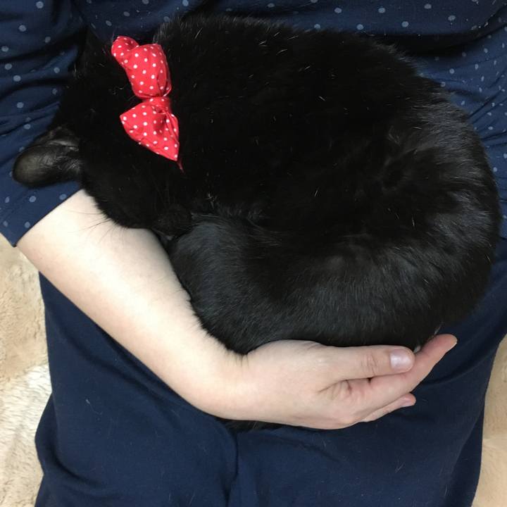 C97f64c8 2e51 4bdd a9b2 479ffa41dc1d 1546165398874