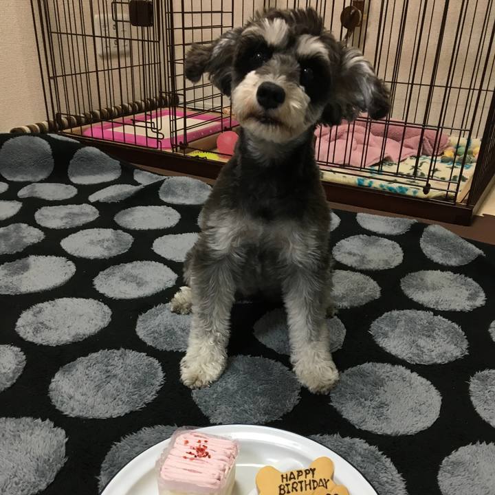 C97f8a7b 688b 4e81 9549 ac6b46c5aad6 1526641356239