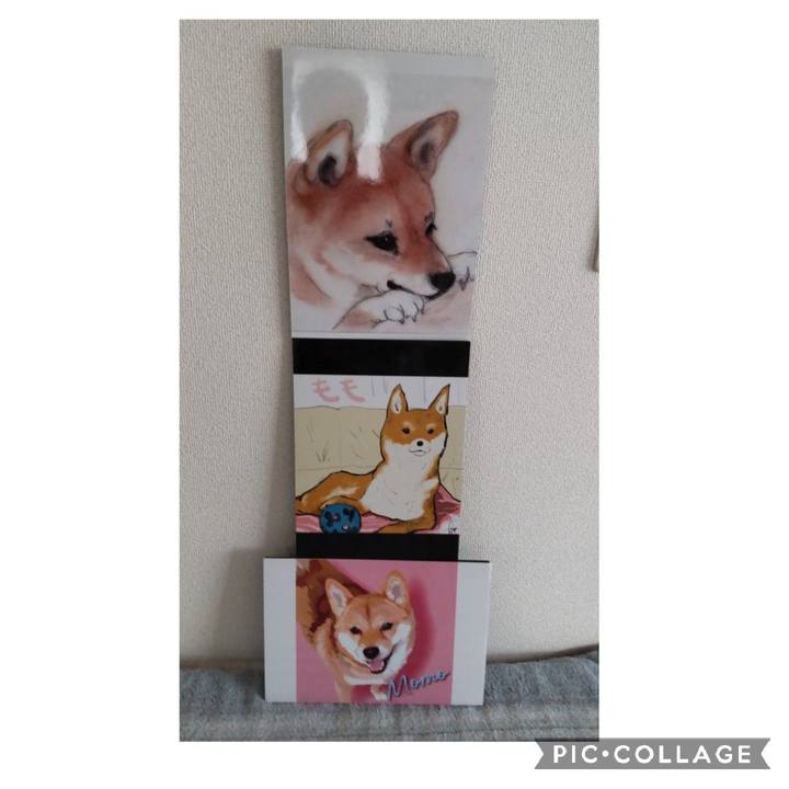 C97fa2d5 ab54 4682 a3fd 31d92e1a20d3 1662088598192