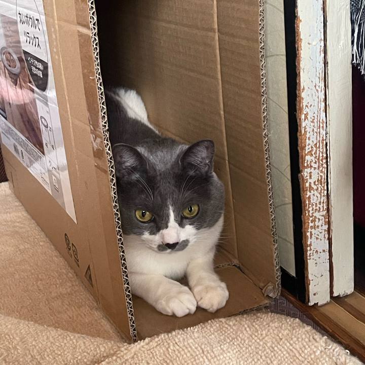 C97fb714 723b 4272 a6b9 784b8067e4ea 1738304218690