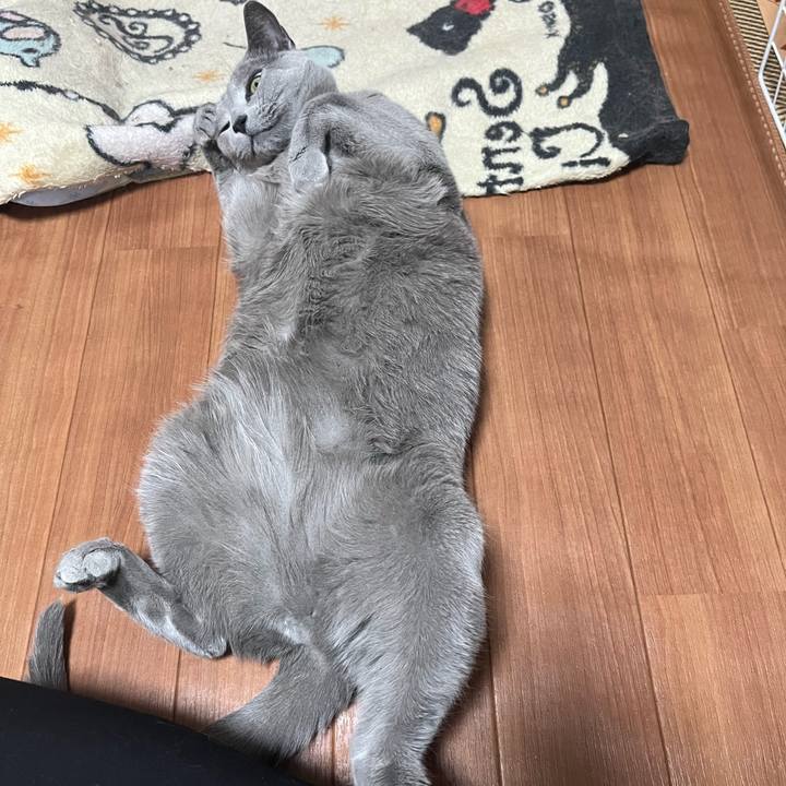 C97fedfc 058c 475a b551 c4326cb9f394 1712067982367