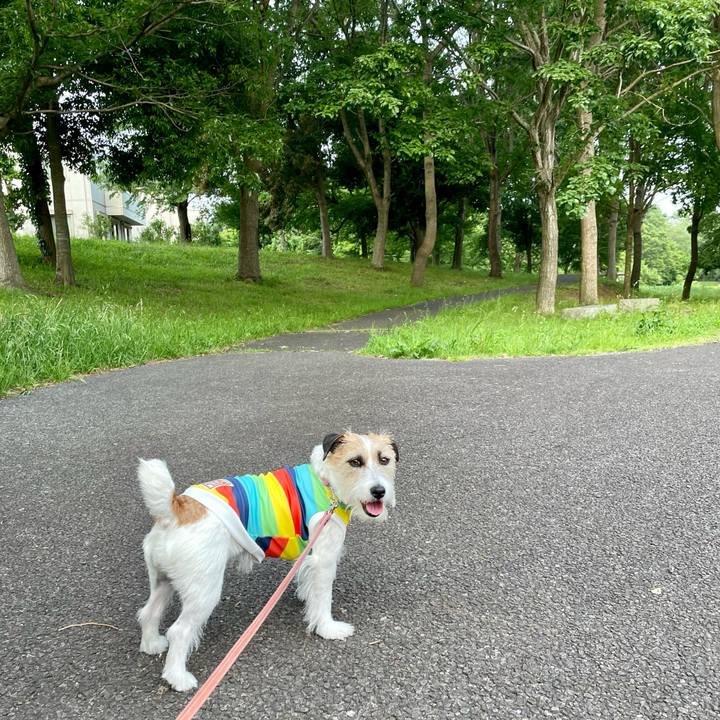 C98047bc 942b 4ea7 91db 12e75d3ab150 1684744233098