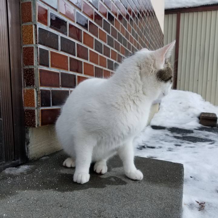 C980767a 7fcd 48b3 8b53 25b382a5e57e 1611739423708