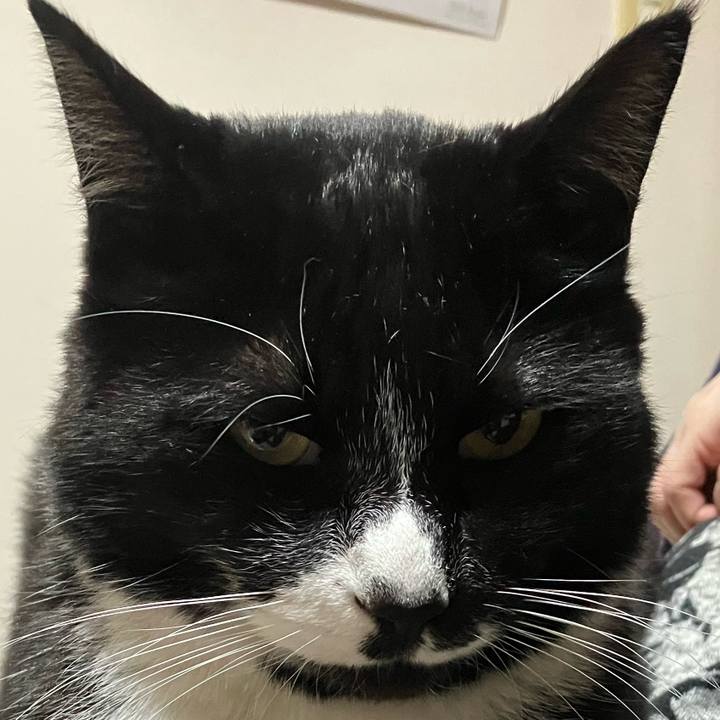 C9808530 a4a5 4b4e 8225 44c9ce950586 1748231275146