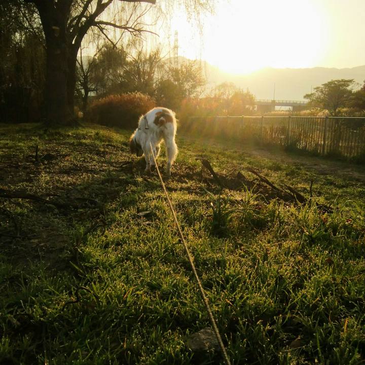 C980e011 b2f2 4637 945e e1e10e53a897 1543537008040