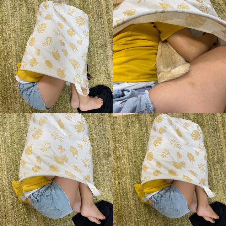 C9811604 dbd4 4aa2 95cb d540678425ee 1596591972687