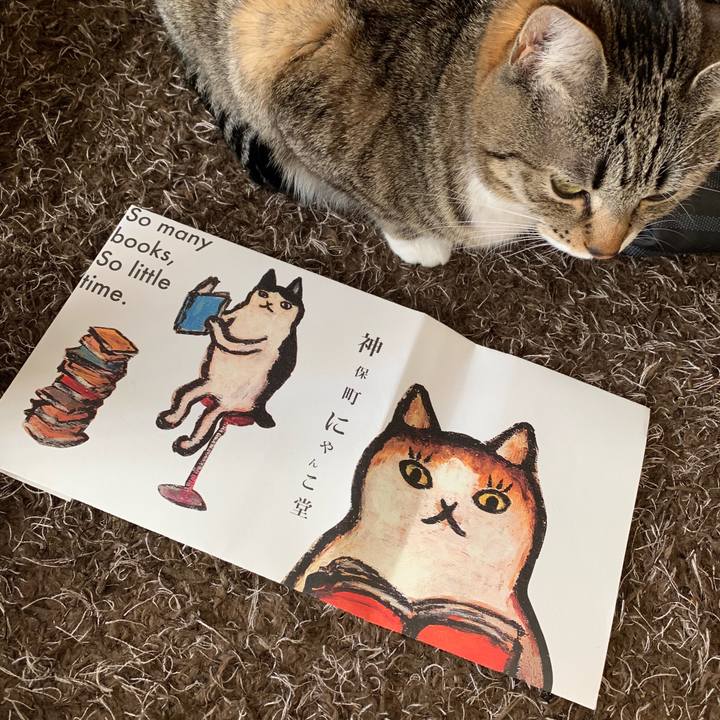 C9814326 f19f 4f89 bee4 ec9f4cf7933c 1549761069161