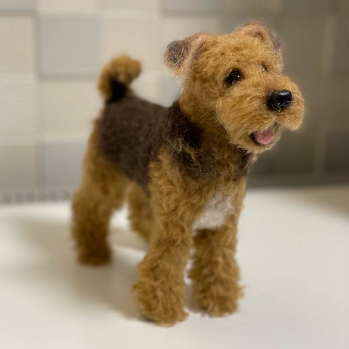 C98149c9 b5e7 4c63 9104 41b60e4b5359 1639303102637