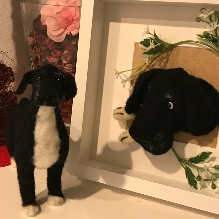 C981a1b2 67b0 4246 8e03 a6a09490bd7e 1518443695767