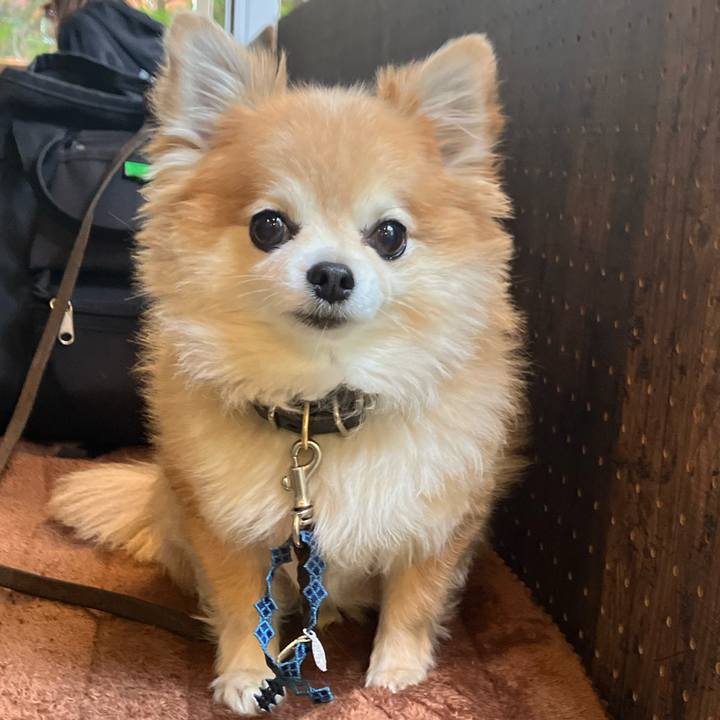 C9821fb3 d681 490d 8b10 16365de1dcc2 1764330888311