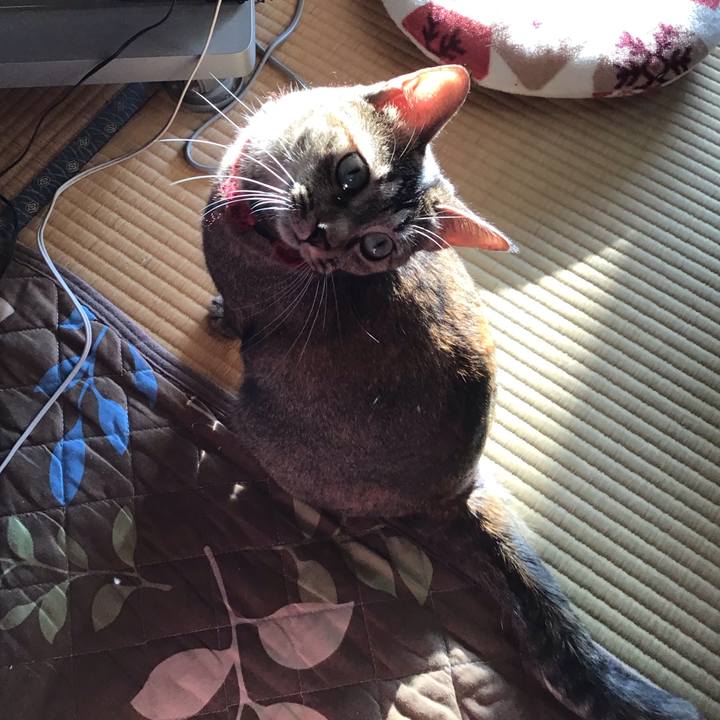 C9822ac2 e82a 4c45 8de0 9f369cfe152e 1601882830992