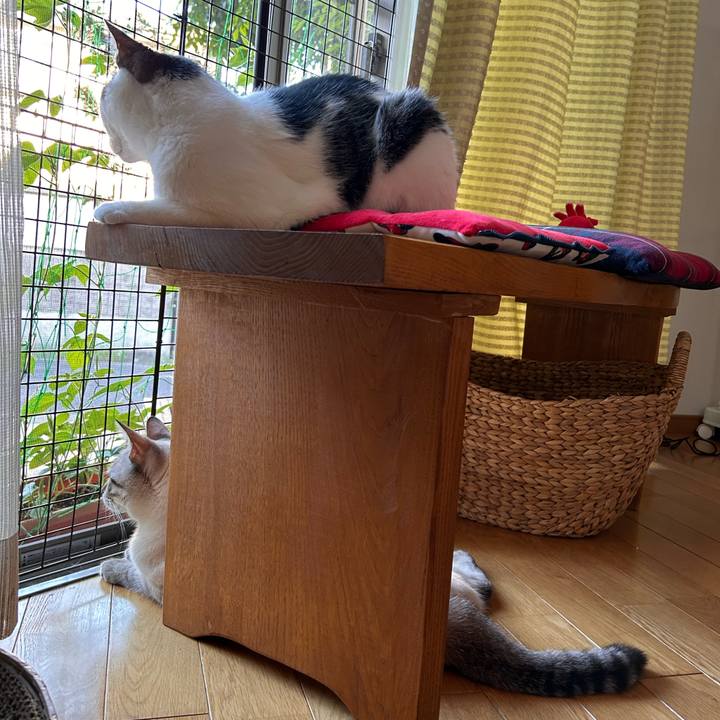 C9827c23 fab4 4d5b 9947 0c323329c486 1753565938428