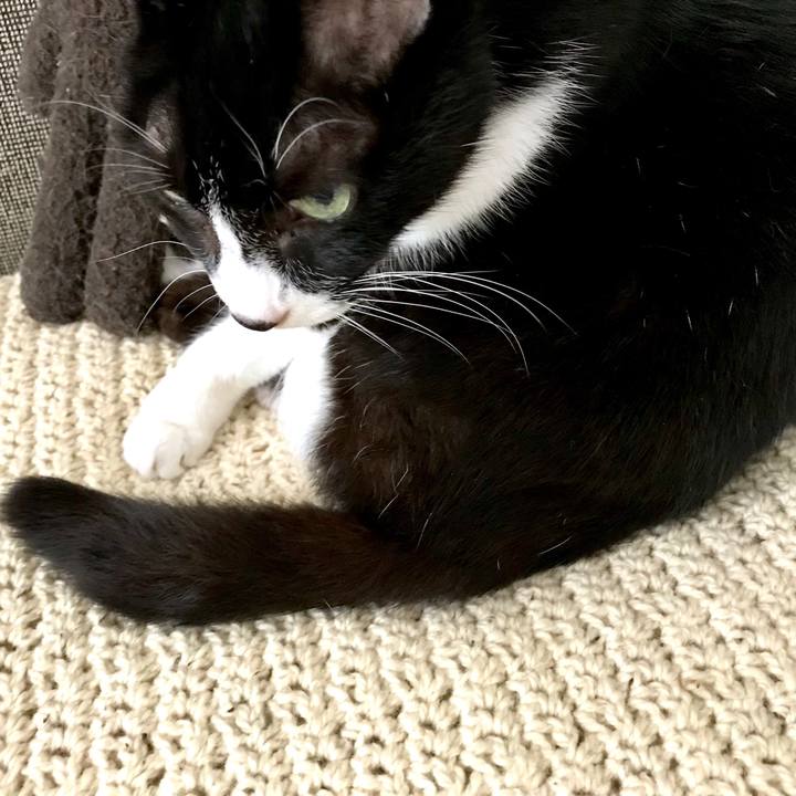 C982c7af 53fd 45dc ac39 df3e1cd13830 1528345003232