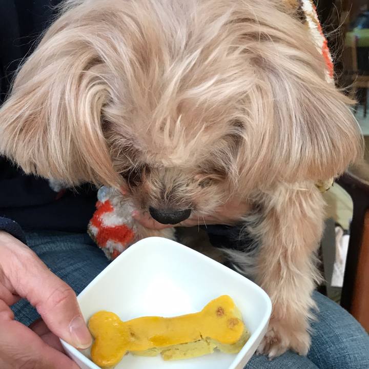 C982d80c 5c91 4e61 90f3 6a405f79d1e3 1547836063652