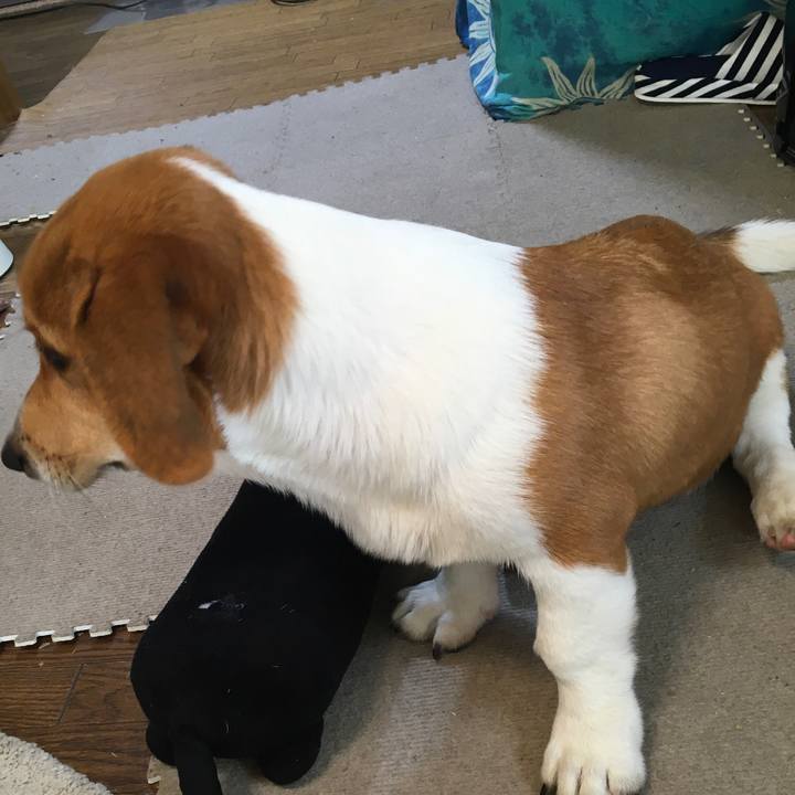 C9831e0c 4e61 4b25 b292 9fac6152f38e 1597283560142