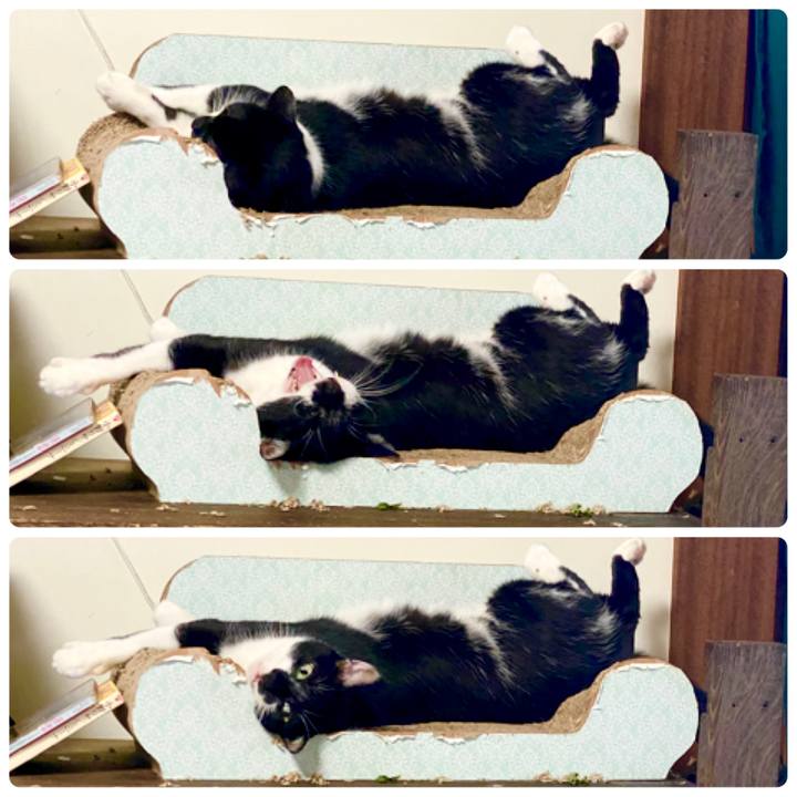 C983a284 4df5 41d1 9d1a 6de4e44f9f0e 1658461222388