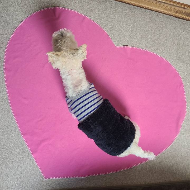 C983d134 7ddd 4f68 a4e9 9f4af890c14e 1676329005493