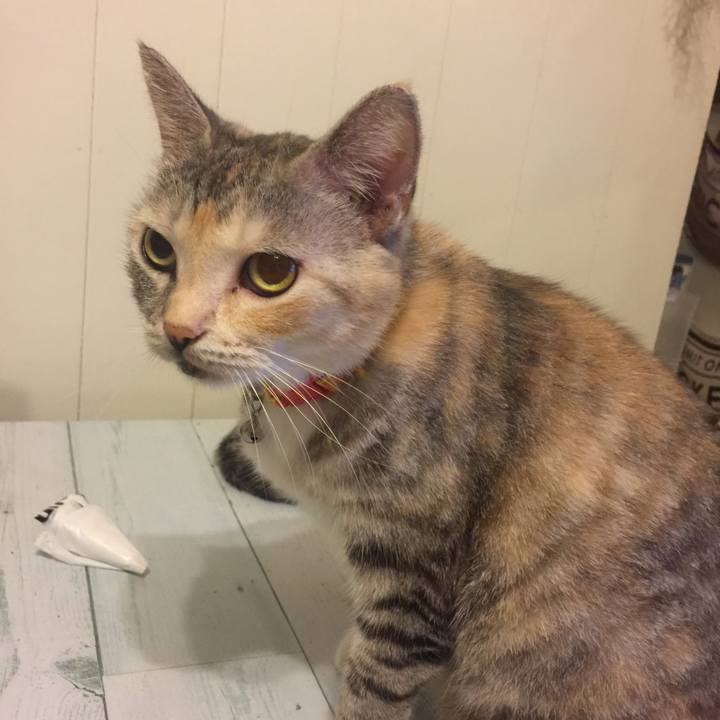 C983e3ba 81ba 4633 9c7c 58a1c449064c 1569682687511