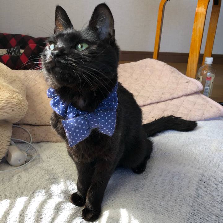 C9840aef 33fb 464b a412 05b84e89dd04 1555805360650