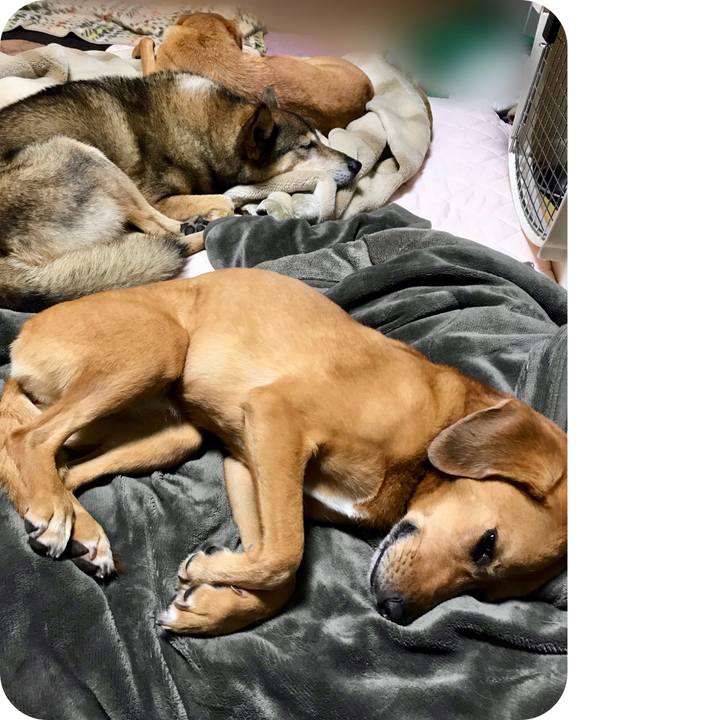 C984198c f3bf 4ca6 85cd f19902f201fa 1537019373212