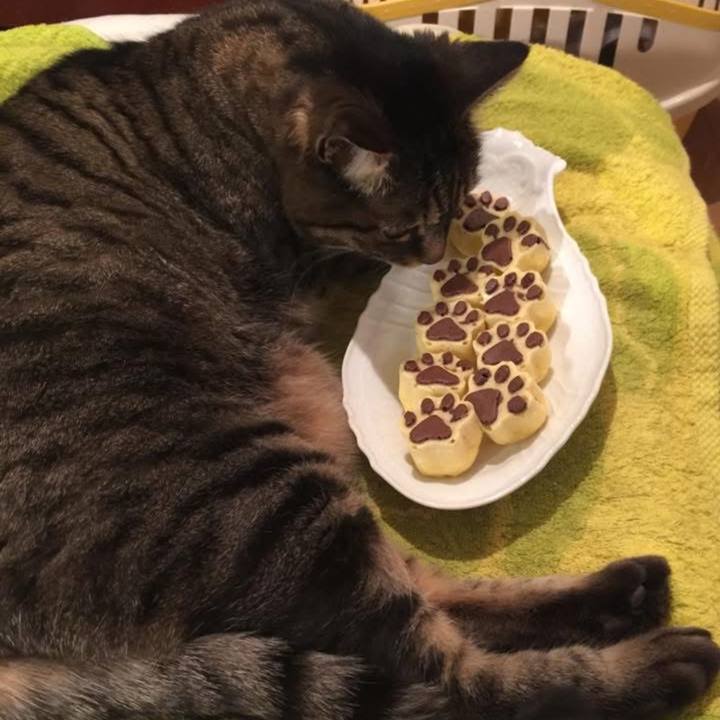 C9841ba9 40b1 47ef b198 cacbdd604979 1770882393715