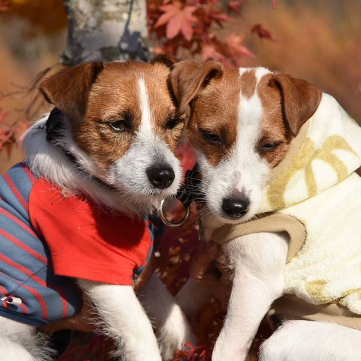 C984638b b687 458a bd3e 5f118de120dd 1509882605098