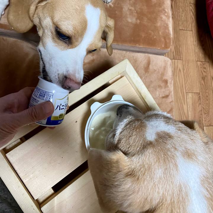 C9846ce7 0fa2 4a87 bc6d 63d0c3898fa6 1603886703494