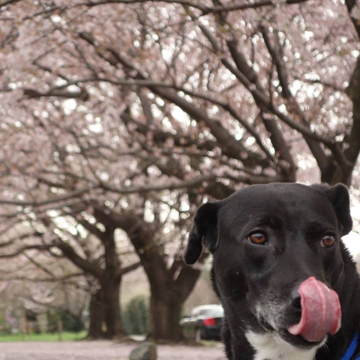 C9846dd1 d663 4870 943c 7da51275dc16 1649293164266