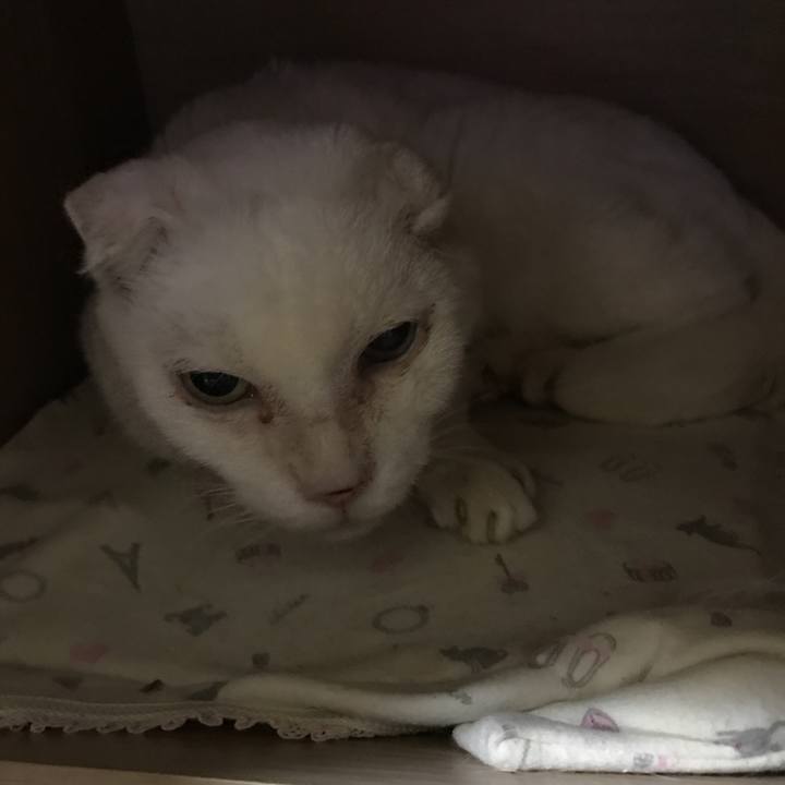 C98475a9 663b 49f4 b316 3cc124e6d23b 1570878188511