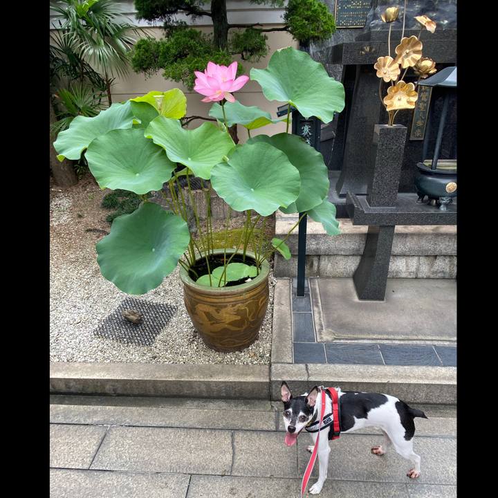 C9847c08 481a 4539 9b1e e90616e42a9a 1595481426436