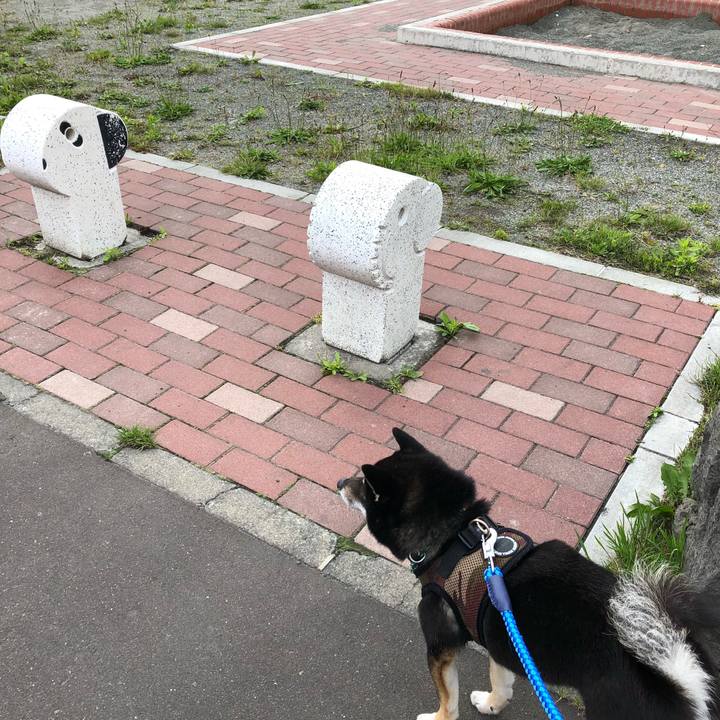 C9849b86 8f4b 4edc bc87 17aceea32efc 1528971148308